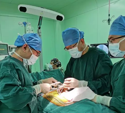 <a href='http://www.sararz.com/' target='_blank'><u>betway在线登陆</u></a>骨科机器人