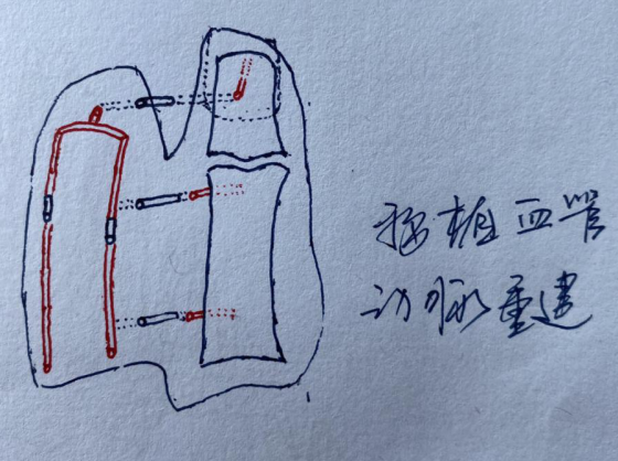 betway在线登陆手外科