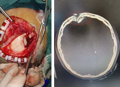 必威官方首页官网betway