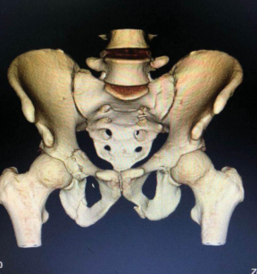 必威官方首页官网betway