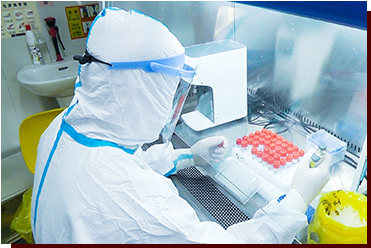 【徐州日报】流程优化,跑出sararz核酸检测“加速度”